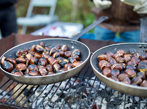 VOS MARRONS CHAUDS